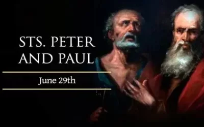 Sunday 29th June 2025