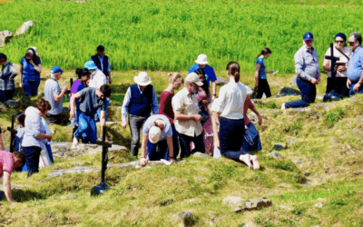 Sunday 31st August 2015