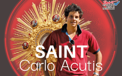 Sunday 7th September 2025