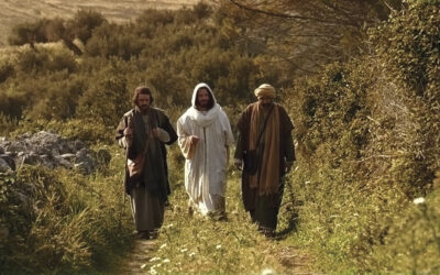 Sunday 19th April 2026